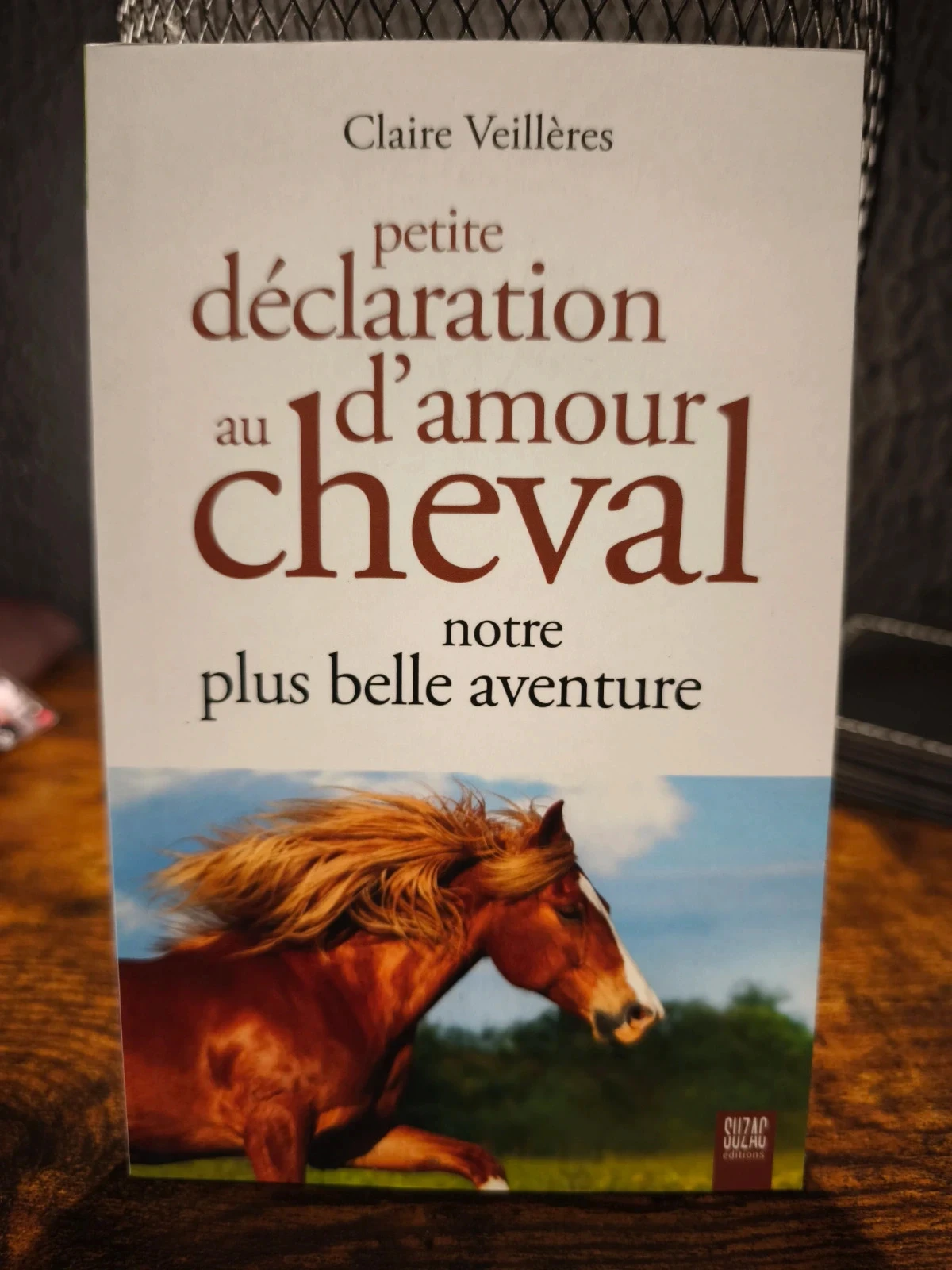 Petite déclaration d'amour au cheval
